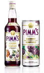 blackberry pimms