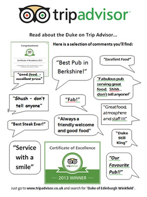 trip advisor flyer